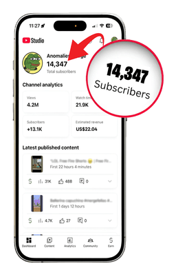 Monetized YouTube Channel 1