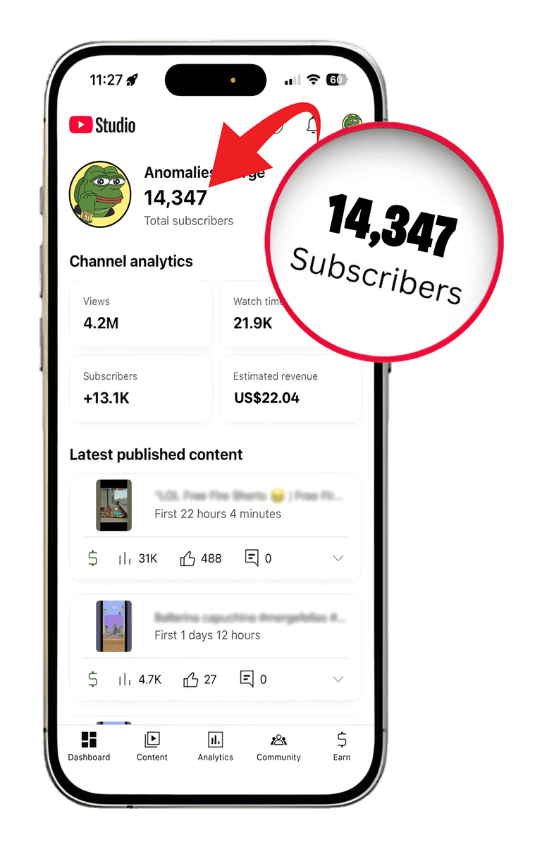 Monetized YouTube Channel
